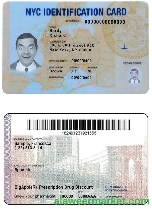 USA New York ID